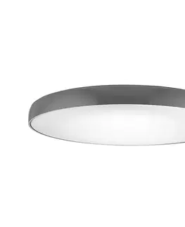 LED osvetlenie Azzardo  - LED Stropné svietidlo CORTONA 1xLED/50W/230V 4000K 
