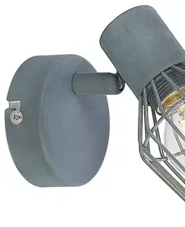 Nástenné svetlá Nástenná lampa 1X40W E14 sivá VIKING