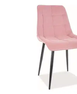 Jedálenské stoličky KIK VELVET čalúnená stolička, svetlošedá
