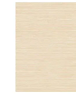Moderné koberce Koberec FD Standard Akari 1,7/2,4 béž