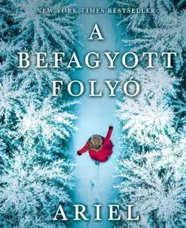 Historické romány A befagyott folyó - Ariel Lawhon