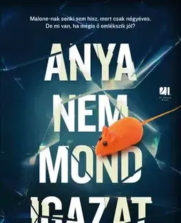 Detektívky, trilery, horory Anya nem mond igazat - Michel Bussi