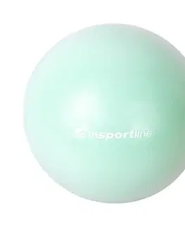 Gymnastické lopty Lopta na posilňovanie inSPORTline Aerobic Ball 35 cm bordó