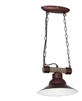 Svietidlá  Luster na reťazi JOSE 1 1xE27/60W/230V 9150