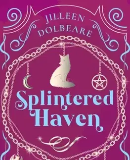 Detektívky, trilery, horory Splintered Haven - Jilleen Dolbeare