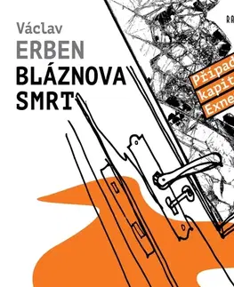 Detektívky, trilery, horory Radioservis Bláznova smrt