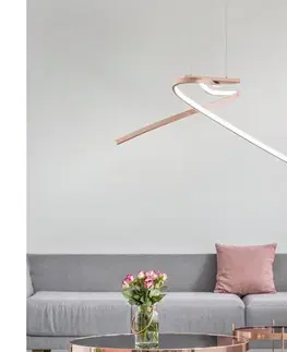 Svietidlá Eglo 97362 - LED Luster na lanku PALOZZA 2xLED/11W/230V 97362