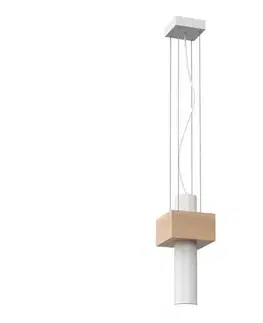 Svietidlá  Luster na lanku WEST 1xGU10/25W/230V biela MLP5500