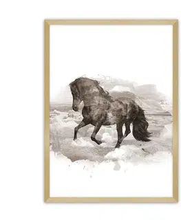 Obrazy Plagát Horse