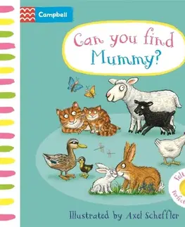 Leporelá, krabičky, puzzle knihy Can You Find Mummy? - Campbell Books