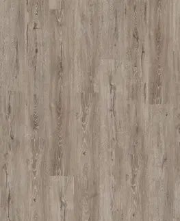 Aquadura EGGER Aquadura Dub panora sivý EDF204