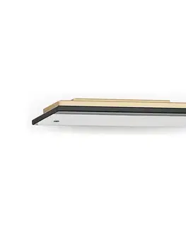 Svietidlá Argon 8364 - LED Nástenné svietidlo VELO LED/7,2W/230V 3000K zlatá/čierna 8364