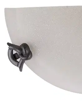 Nástenné svetlá Sklenená nástenná lampa 60W E27 Eva