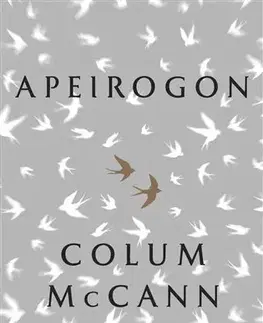 Romantická beletria Apeirogon - Colum McCann