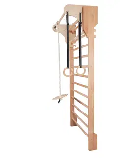 Posilňovacie stroje Hrazda na rebriny inSPORTline Dremar 90 cm