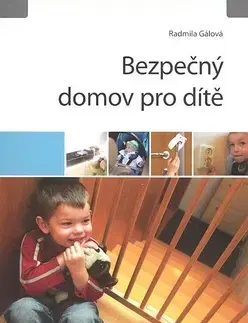 Partnerstvo Bezpečný domov pro dítě - Radmila Gálová