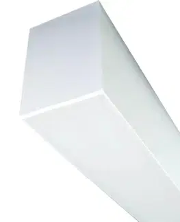 Svietidlá Greenlux LED Žiarivkové svietidlo LINIK LED/40W/230V 4000K biela 