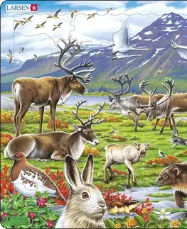LARSEN puzzle Larsen Puzzle Puzzle Arktické vnútrozemie -zvieratá Larsen FH14-ZZ