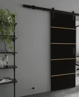 Posuvné dvere KIER Posuvné dvere LORNI PLUS DUO | 212 cm Farba: Čierna