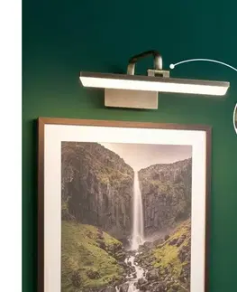 Svietidlá Paulmann 95569 - LED/9,5 W Obrazové svietidlo RENAN 230 V 40 cm mosadz 95569