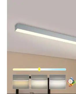 Svietidlá BRILAGI - LED kúpeľňové stropné svietidlo SLEEKLINE LED/40W/230V strieborné IP44 BRI475
