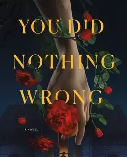 Detektívky, trilery, horory You Did Nothing Wrong - C.G. Drews
