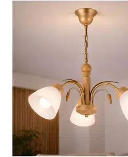 Svietidlá  Luster na reťazi TULIPAN 3xE27/60W/230V dub LM-3.24 OAK