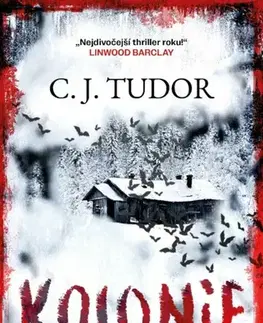 Detektívky, trilery, horory Kolonie - C. J. Tudorová,Naďa Špetláková