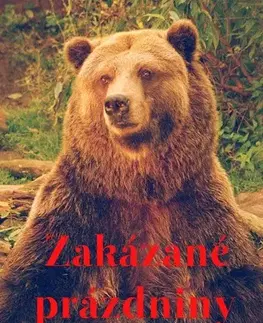 Romantická beletria Zakázané prázdniny - Dana Šianská