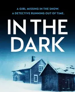 Detektívky, trilery, horory In the Dark - Lina Areklew