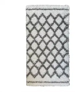 Moderné koberce Koberec Shaggy Harmony 0,8/1,5 3480A HRG37 L
