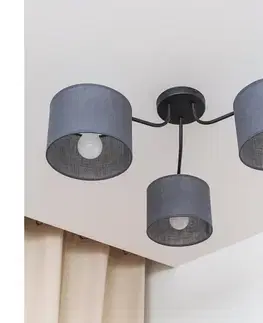 Svietidlá  Prisadený luster ALBA 3xE27/15W/230V sivý P-2015/3 BK+GR
