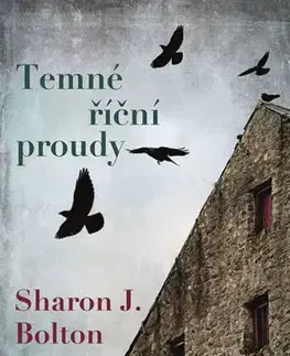 Detektívky, trilery, horory Temné říční proudy - S. J. Bolton
