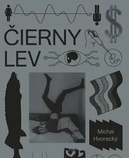 Slovenská beletria Čierny lev - Michal Hvorecký