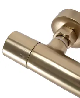 Kúpeľňové batérie REA REA - Sprchový set s batériou 150mm s termostatom PAROT kartáčovaná zlatá REA-P2323