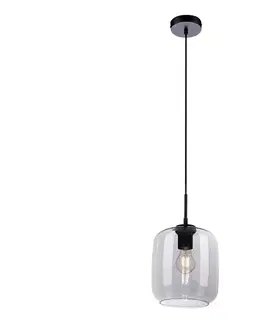 Svietidlá Paul Neuhaus 2002-25 - Luster na lanku SHITAKE 1xE27/10W/230V pr. 20 cm dymová 2002-25