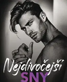 Romantická beletria Nejdivočejší sny - L. J. Shen,Eva Brožová