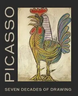 Maliarstvo, grafika Picasso: Seven Decades of Drawing - Olivier Berggruen,Christine Poggi