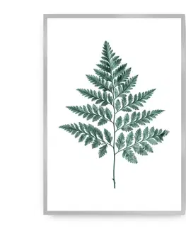 Obrazy Plagát Fern 21 x 30 cm Emerald Green