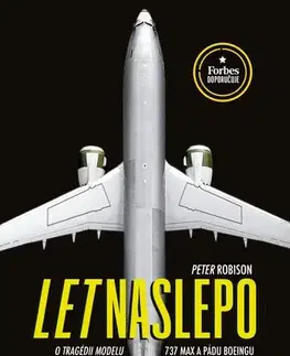 Fejtóny, rozhovory, reportáže Let naslepo (CZ) - Peter Robison,Petr J. Vlk