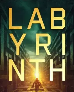 Detektívky, trilery, horory Labyrinth - A.G. Riddle