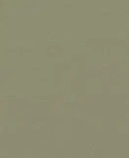 Marmoleum solid walton FORBO Marmoleum solid walton Rosemary green 3355