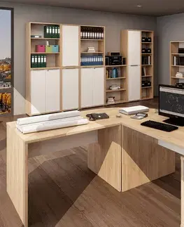 Písacie a pracovné stoly KONDELA Rioma Typ 17 písací stôl dub artisan / biela