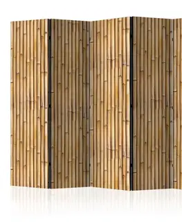 Paravány Paraván Amazonian Wall Dekorhome