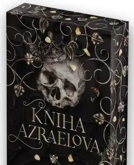 Sci-fi a fantasy Bohové a monstra 1: Kniha Azraelova - Amber V. Nicole,Hana Vlčinská