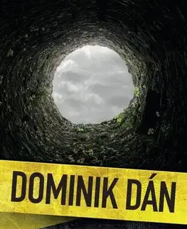 Detektívky, trilery, horory Studna - Dominik Dán