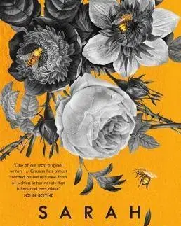 Cudzojazyčná literatúra Here is the Beehive - Sarah Crossan