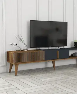 TV stolíky TV stolík Milan Alt - Walnut, Anthracite