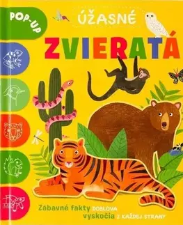Leporelá, krabičky, puzzle knihy Úžasné zvieratá POP-UP - Catherine Ard,Melanie Mikecz