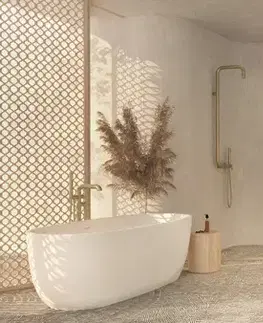 WC kefy Deante Silia toaletná kefa zlatá ADI R712